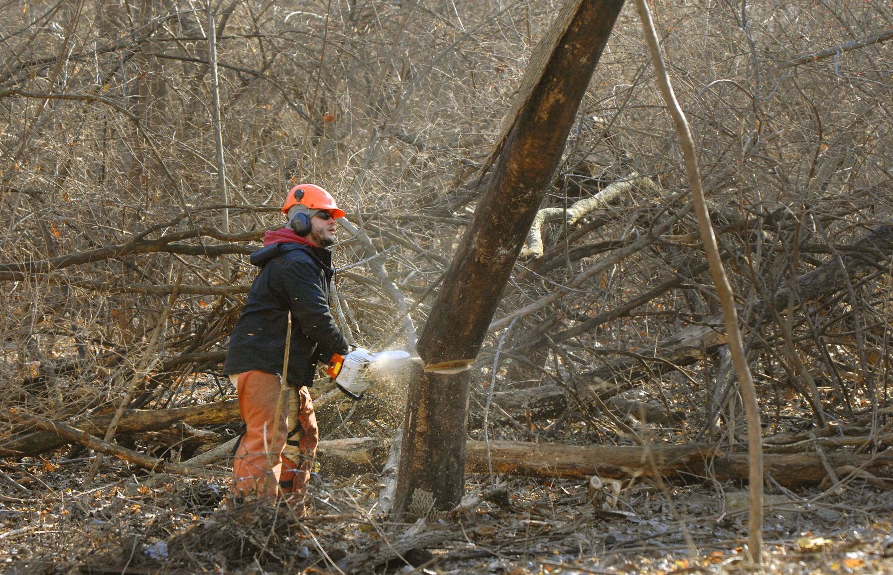 011418-blm-blm-2trailclear